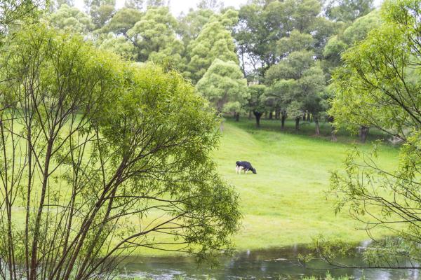 【新时代·幸福美丽新边疆】萨拉乌苏：深藏在内蒙古的人间秘境
