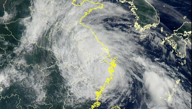 低洼小区,东滩湿地,抢险救援,测站,雨量,泥城,降雨,限速,防汛办,店招