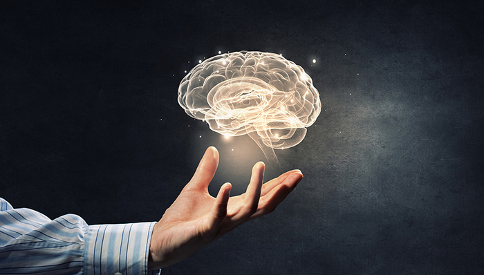 脑科学,脑机接口,埃隆·马斯克