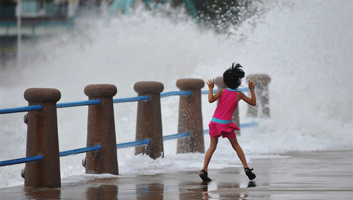 利奇马,飞行器,,锡林郭勒草原,未成年人,红树林,长江禁捕,登革热