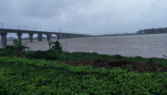 寿光,蔬菜,台风