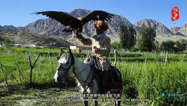 柯尔克孜族,可爱的中国,驯鹰,约定,捕猎,人工驯养,各民族,银河系,熬鹰,视频