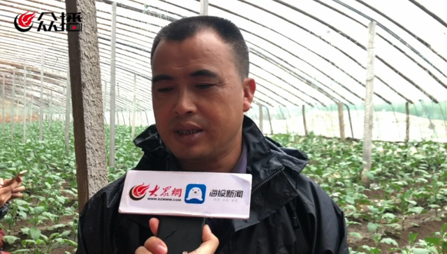 台风过境蔬菜之乡，记者寿光实地探访
