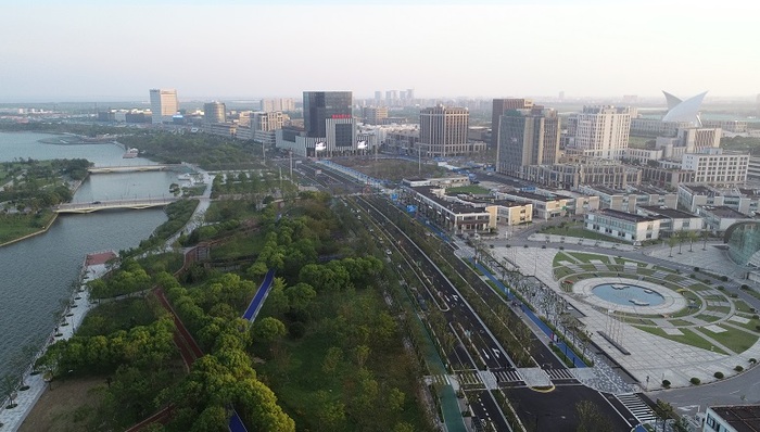 临港新片区，法治环境，风险防控