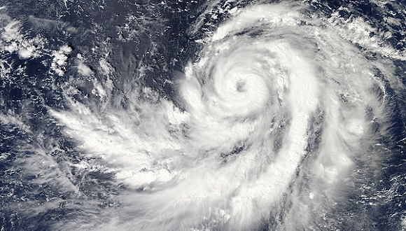 台风利奇马上海辖内保险理赔进展：接到报案1.3万件，报损金额1.89亿元