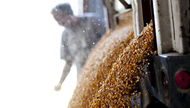 农产品,美日贸易,关税,谈判