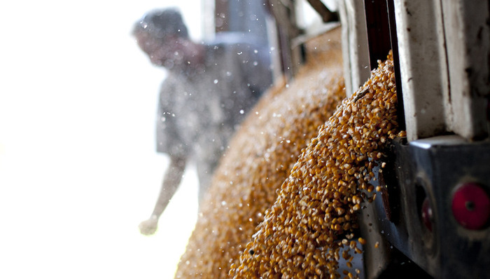 农产品,美日贸易,关税,谈判