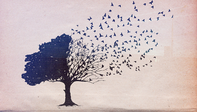 生态系统,谷歌,苹果,Facebook,亚马逊