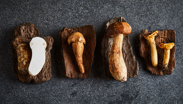 【酒店新菜单·上海篇】素凯泰主打辛香，镛舍与安缦同期呈现菌子盛宴