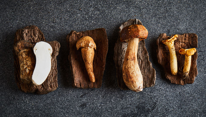 【酒店新菜单·上海篇】素凯泰主打辛香，镛舍与安缦同期呈现菌子盛宴