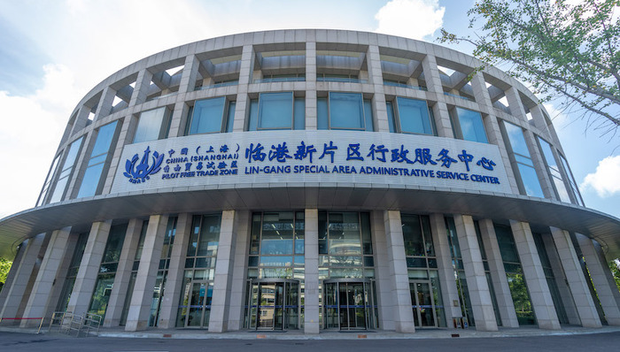 上海,临港,新片区,行政服务中心,001号,营业执照