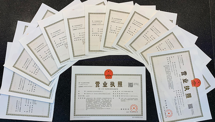 自贸区,新片区,临港