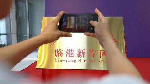 【特写】首批落户临港新片区的企业都什么来头？