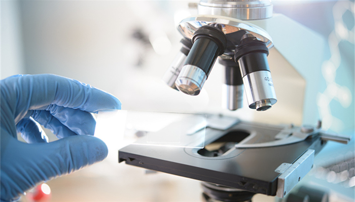 株型结构,新株型,单株产量,育种资源,优异种质资源,半矮秆,分子改良,春油菜,科研人员,油菜育种