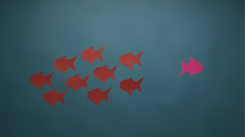 消失的诺基亚和柯达怎么样了？