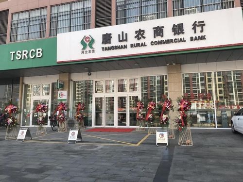 唐山农商行今年上半年营收同比减少逾两成，不良率水平依旧偏高