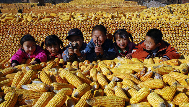 直通部委 | 中国农民丰收节不搞劳民伤财“面子工程” 上半年环境行政罚款达46.33亿元