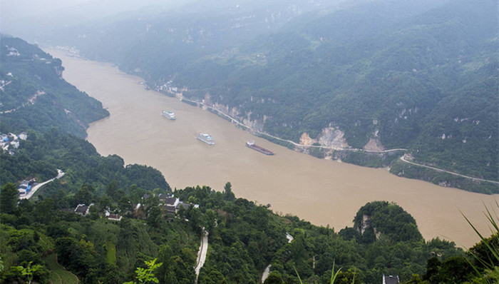 扬子鳄,长江经济带