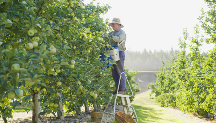 光明网：悲情营销遭罚，公众善意经不起透支