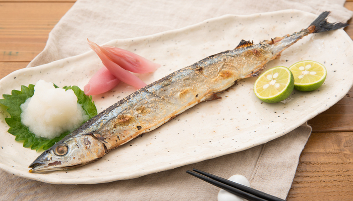 秋刀鱼,日本,捕捞,中国