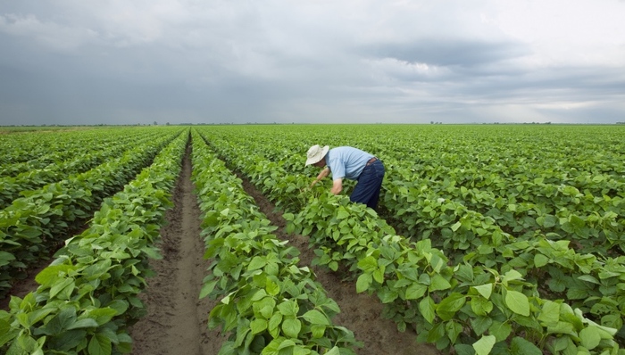 缩小征地范围、保障农民权益、实现户有所居，新版《土地管理法》多个亮点值得关注