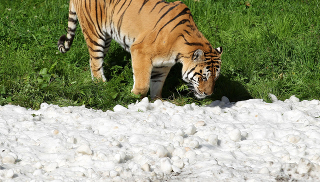 【财说】三六零：流量危机下求生