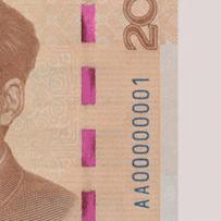 2019年版第五套人民币长啥样？最全解读来了～