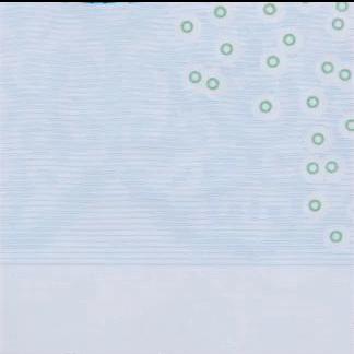 2019年版第五套人民币长啥样？最全解读来了～