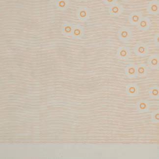 2019年版第五套人民币长啥样？最全解读来了～