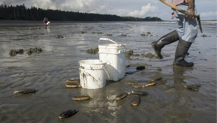 福建养蛏大王“跳海维权”案二审开庭
