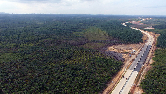 【深度】迁都“双城记”：破旧立新，印尼要过几道坎？