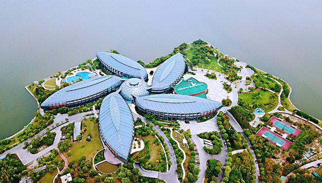 片区,临港,特殊人才,若干意见,支持政策,审查时限,普通高校,购房,居转户,优质教育