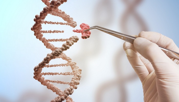 人类基因组,编辑活动,世卫组织,编辑技术,注册管理,临床试验,生殖细胞,患者,疾病,可扩展