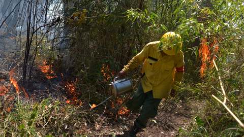 面对外商抵制，巴西宣布60天内禁止在亚马孙烧荒