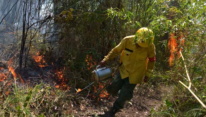 天下故事,拉丁美洲