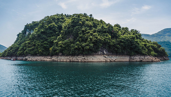 崇明,生态岛,试验田