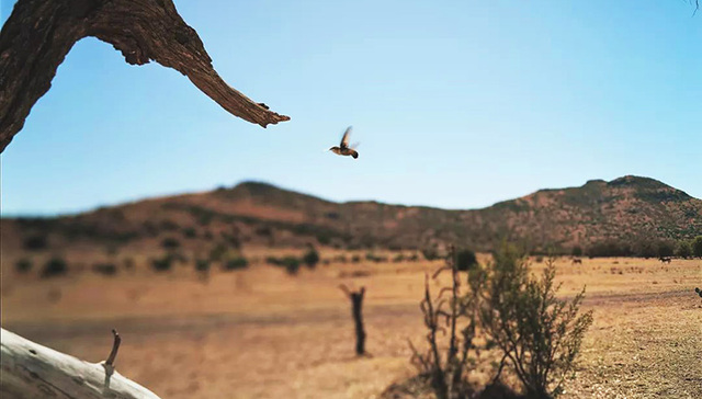 【一周影像资讯】Adobe为中国摄影师推出软件套餐；网红为拍照从8楼坠落