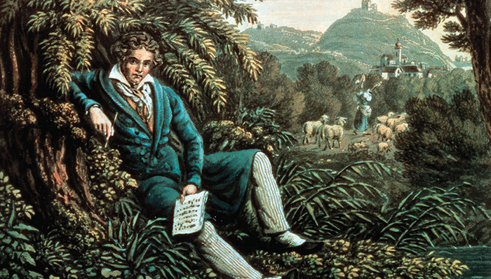 政治,古典音乐,书评,音乐