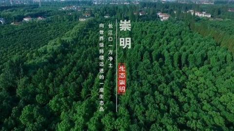 视频｜航拍崇明：鸟瞰瀛洲，美不胜收