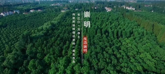 崇明学宫,青草沙,瀛洲,寿安寺,鸟瞰,视频,崇明东滩,足球人,隧桥,明珠湖