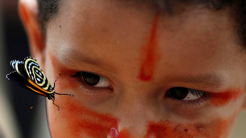 大火肆虐下 亚马孙雨林里的动物和原住民将何去何从？