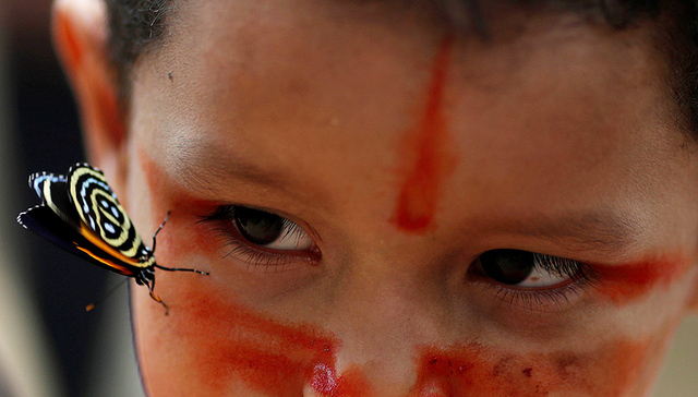 大火肆虐下 亚马孙雨林里的动物和原住民将何去何从？