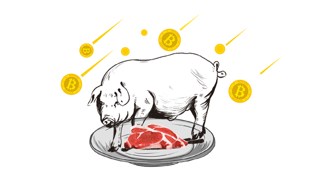 数据 | 6个月价格翻倍，养一头猪能赚多少钱？