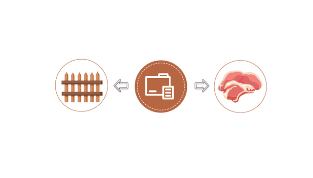 图解 | 稳定猪肉价格，中央地方接连出招