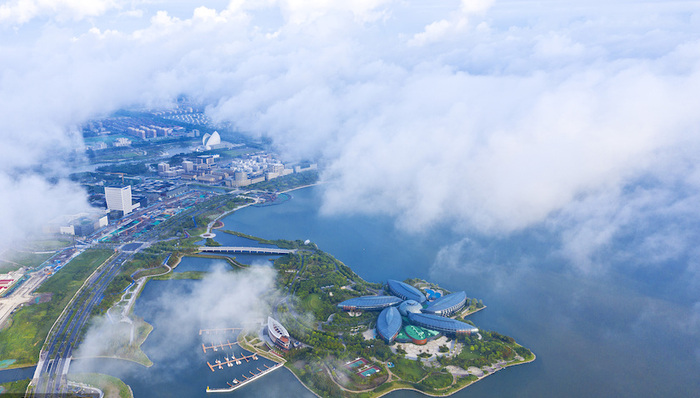 专家,解读,临港新片区,上海自贸区,全球化