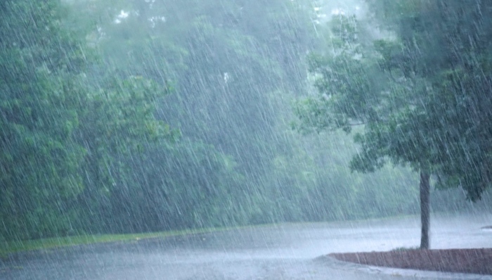 华西秋雨,玲玲,局地,东海东北部海域,发力,大部,吉林中部,四川东部,晴热,强降雨