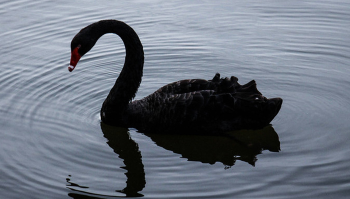 *ST升达,募资,强行划转