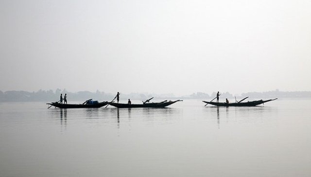 阿米塔夫·高希的实验：同为工业化产物，小说能为气候变化带来什么？