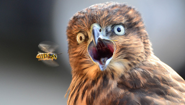 长沙银行首次补充其他一级资本之路意外遇阻