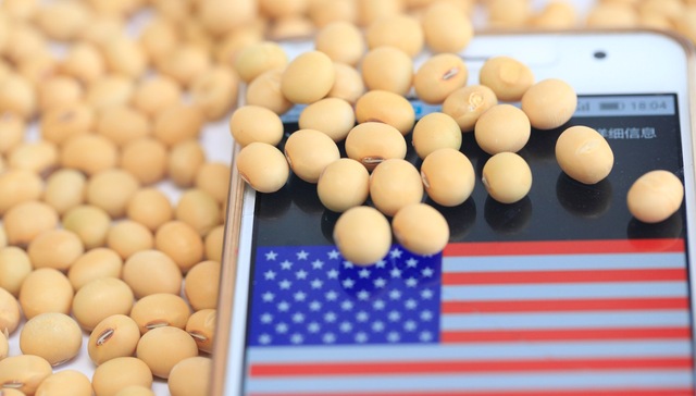 【财经24小时】中国企业开始就购买美国农产品进行询价